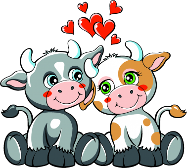 verliebte Kühe 