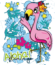 Aloha Flamingo 